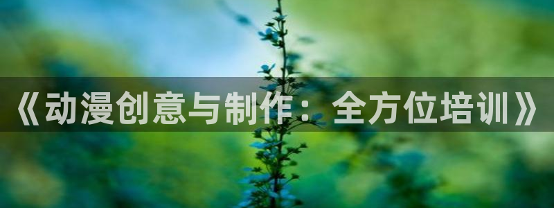 风车动漫(p)_专注动漫的门户官方：《动漫创意与制作：全方位培训》