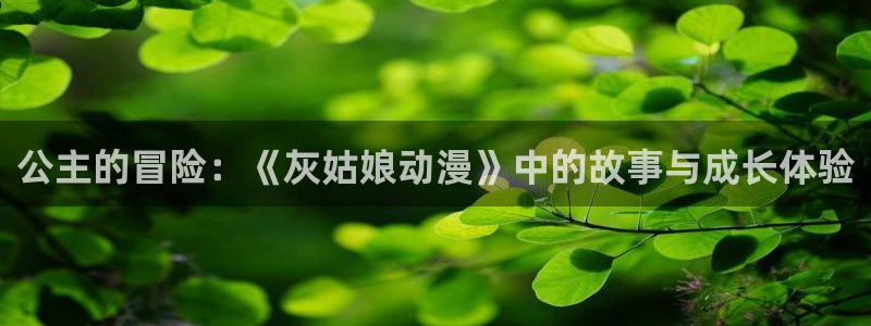 风车动漫在线观看播放免费动漫：公主的冒险：《灰姑娘动漫》中的故事与成长体验