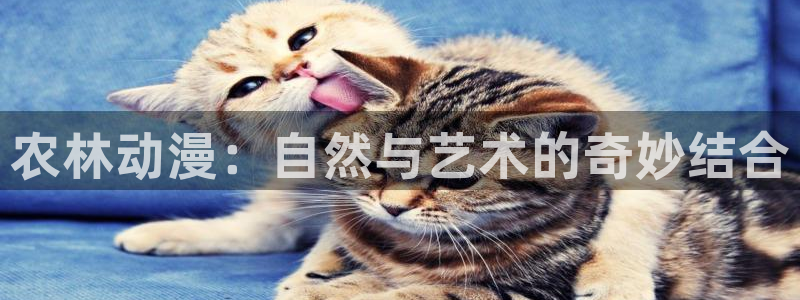 反叛的鲁路修第2季风车动漫：农林动漫：自然与艺术的奇妙结合