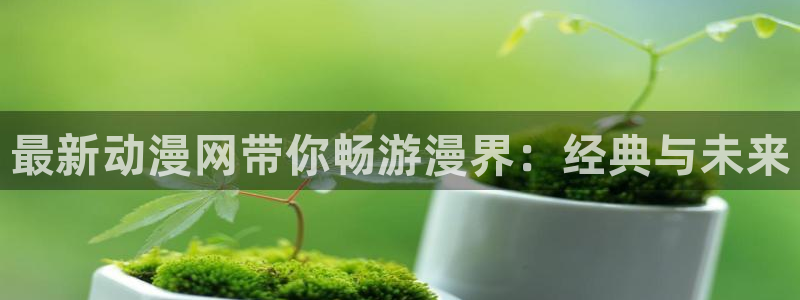 风车动漫网页：最新动漫网带你畅游漫界：经典与未来