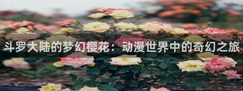 风车动漫 网站：斗罗大陆的梦幻樱花：动漫世界中的奇幻之旅